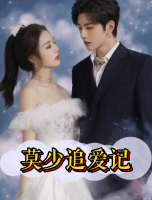 莫少追爱记封面