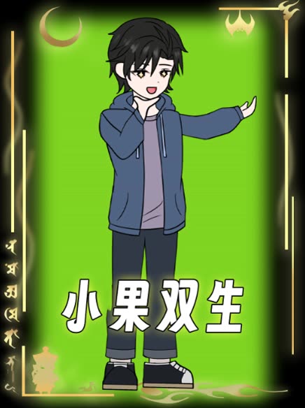 小果双生封面