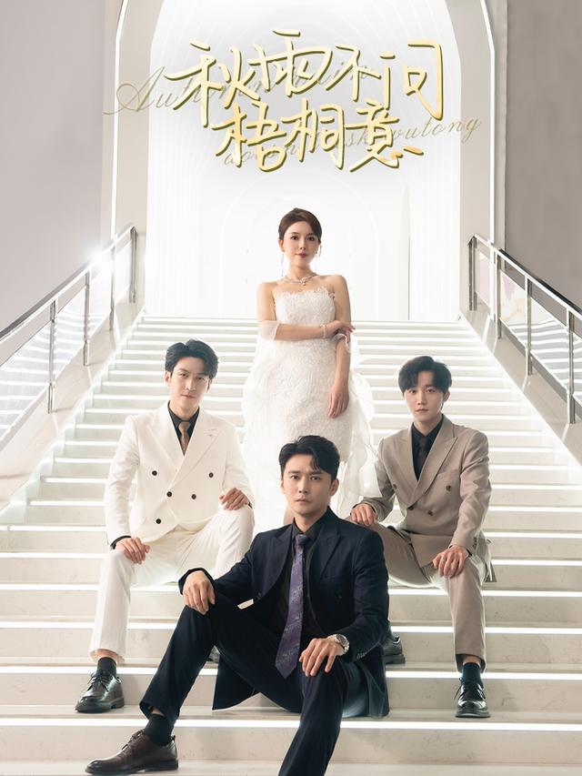 秋雨不问梧桐意封面