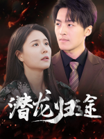 潜龙归途封面