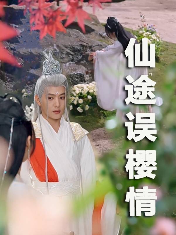 仙途误樱情封面