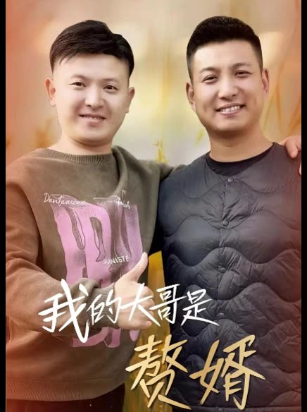 我的大哥是赘婿封面