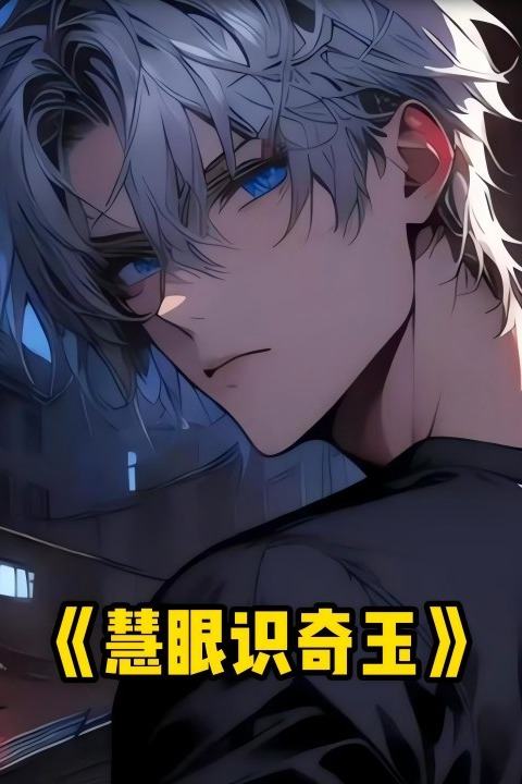 慧眼识奇玉封面