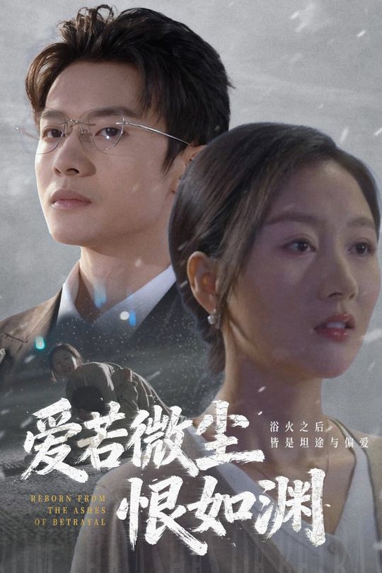爱若微尘恨如渊封面