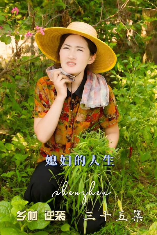 媳妇的人生封面