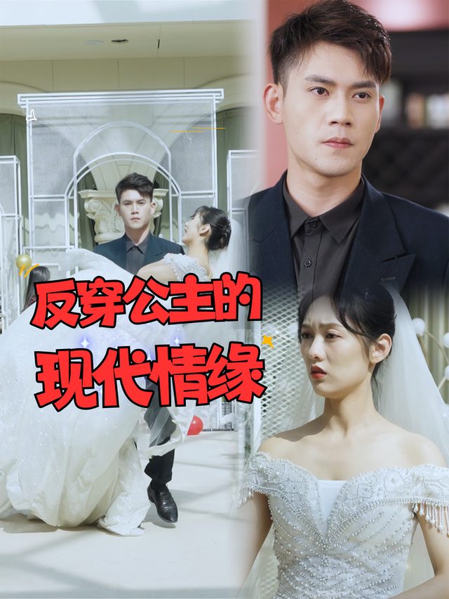反穿公主的现代情缘封面