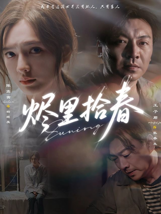 烬里拾春封面