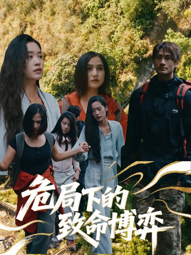 危机下的致命博弈封面