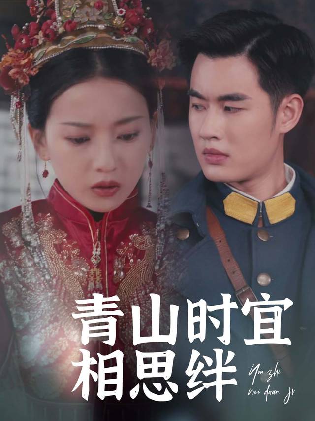 青山时宜相思绊封面