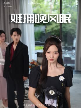 难拥晚风眠封面