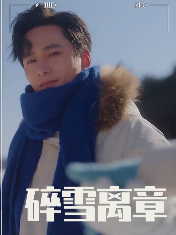 碎雪离章封面