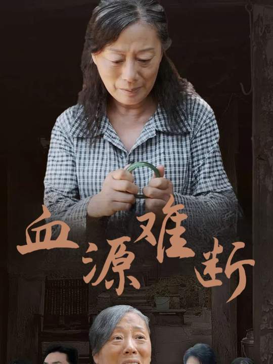 血缘难断封面