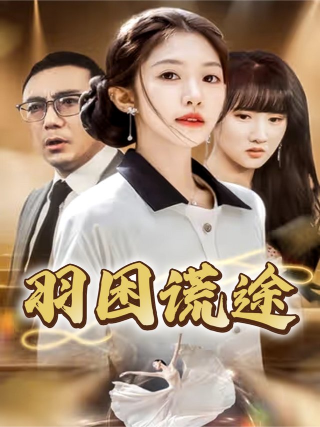 羽困谎途封面