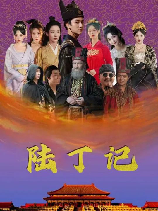 陆丁记封面