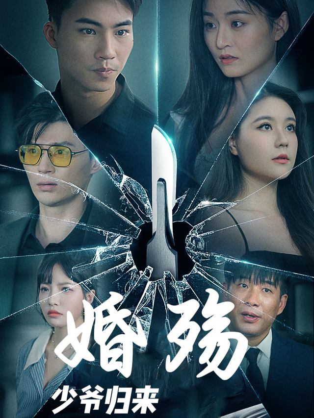 婚殇少爷归来封面