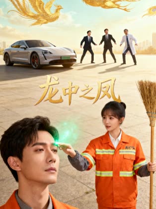 龙中之凤封面