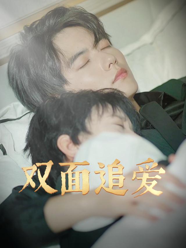 双面追爱封面