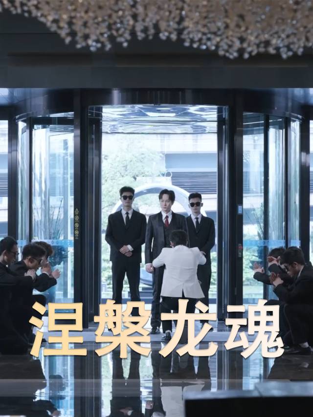 涅槃龙魂封面