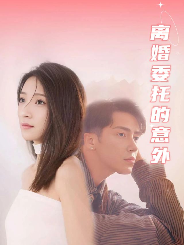 离婚委托的意外封面