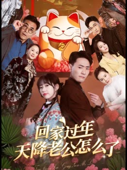 回家过年天降老公怎么了封面