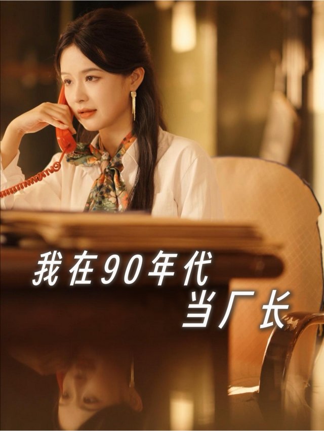 我在90年代当厂长封面