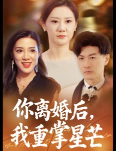 你离婚后，我重掌星芒封面