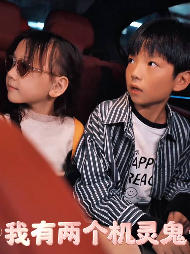我有两个机灵鬼封面