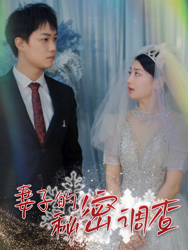 妻子的秘密调查封面