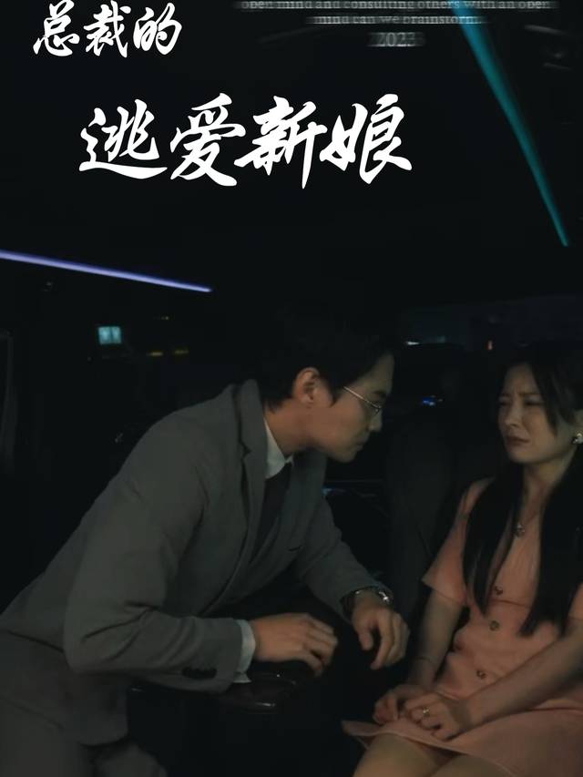 逃爱新娘封面