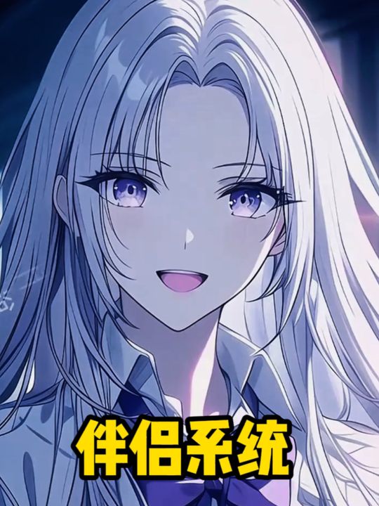 伴侣系统封面