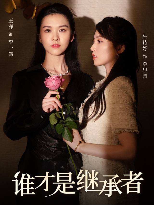 谁才是继承者封面