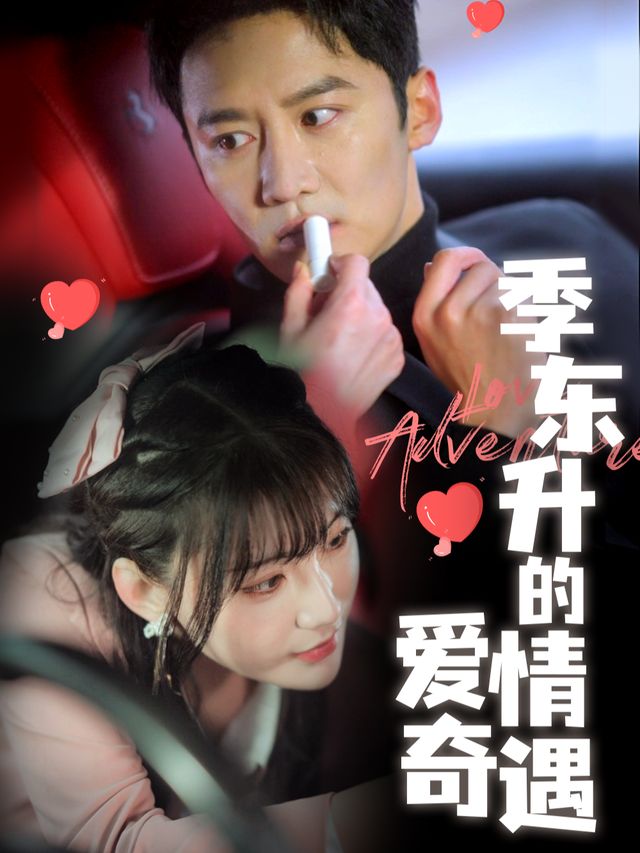 季东升的爱情奇遇封面