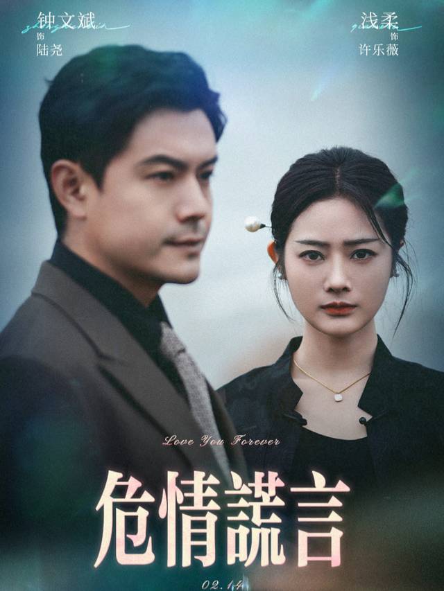 危情谎言封面