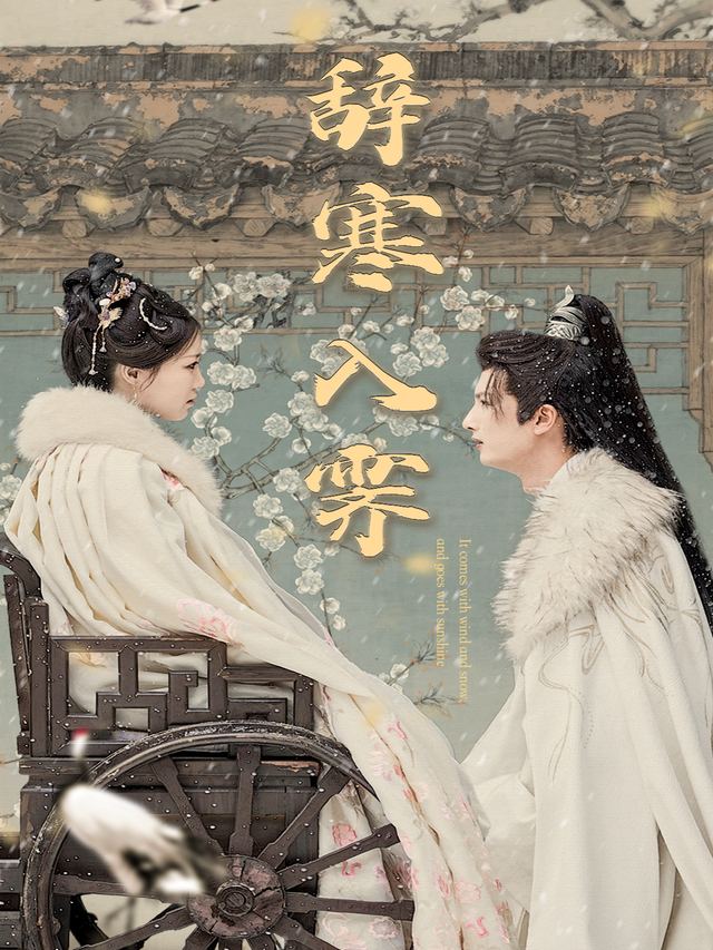 辞寒入霁封面