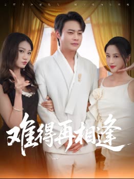 难得再相逢封面