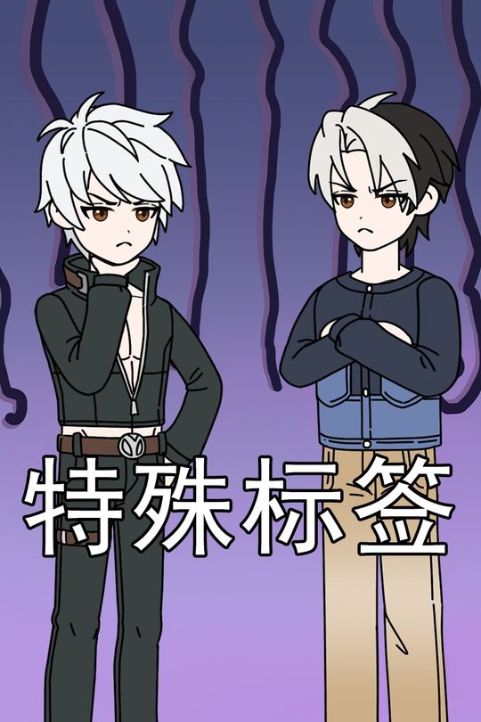 特殊标签封面