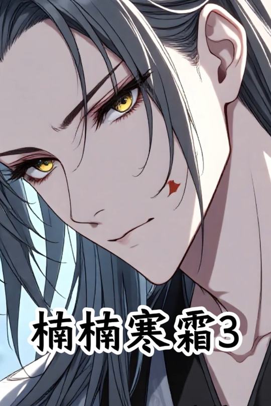 楠楠寒霜3封面