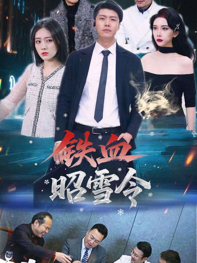 铁血昭雪令封面