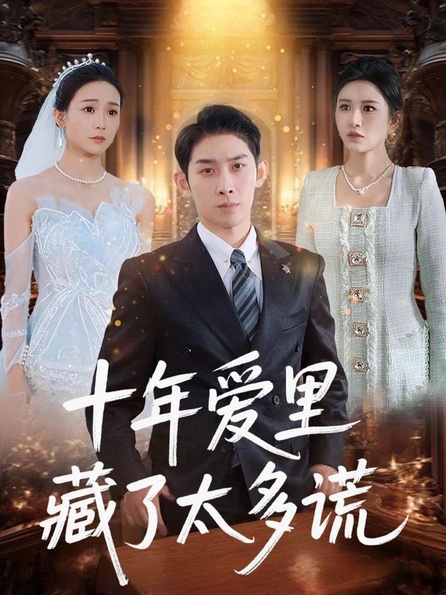十年爱里藏了太多谎封面