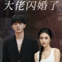 我和首富大佬闪婚了封面