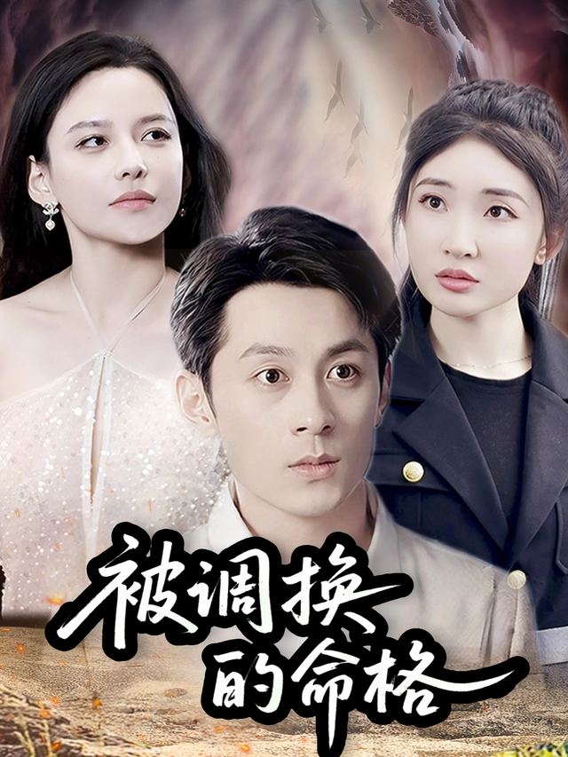 被调换的命格封面