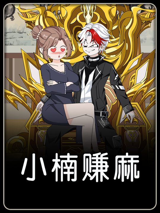 小楠赚麻封面