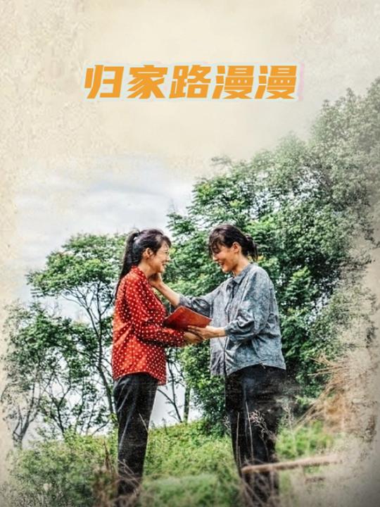 归家路漫漫封面