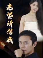 老婆请信我封面