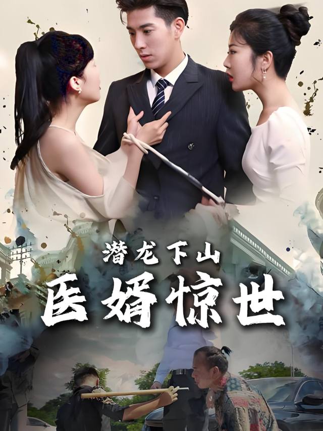 潜龙下山医婿惊世封面