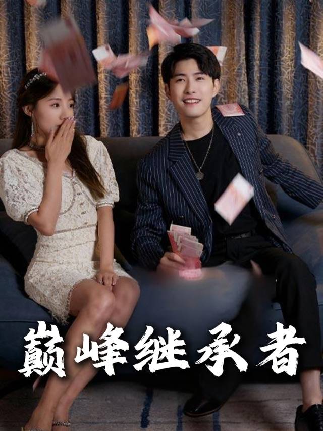 巅峰继承者封面