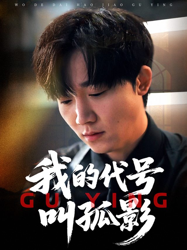 我的代号叫孤影封面