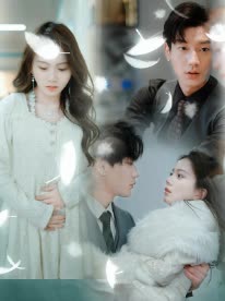 离婚后,总裁追妻火葬场封面