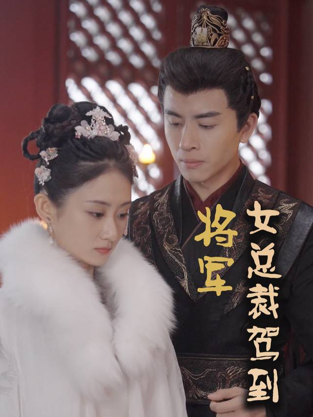 将军女总裁驾到封面
