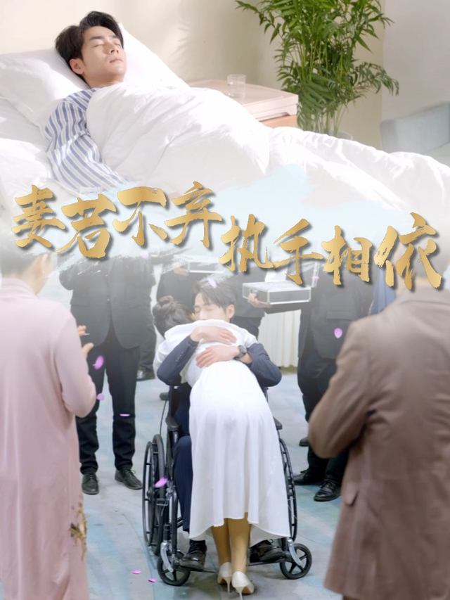 妻若不弃,执手相依封面